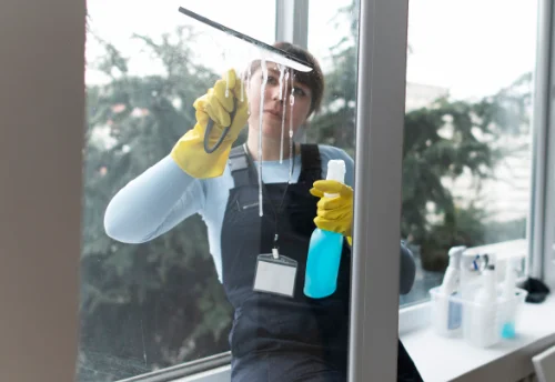 Nettoyage de vitres intérieures et extérieures à Vandrimare